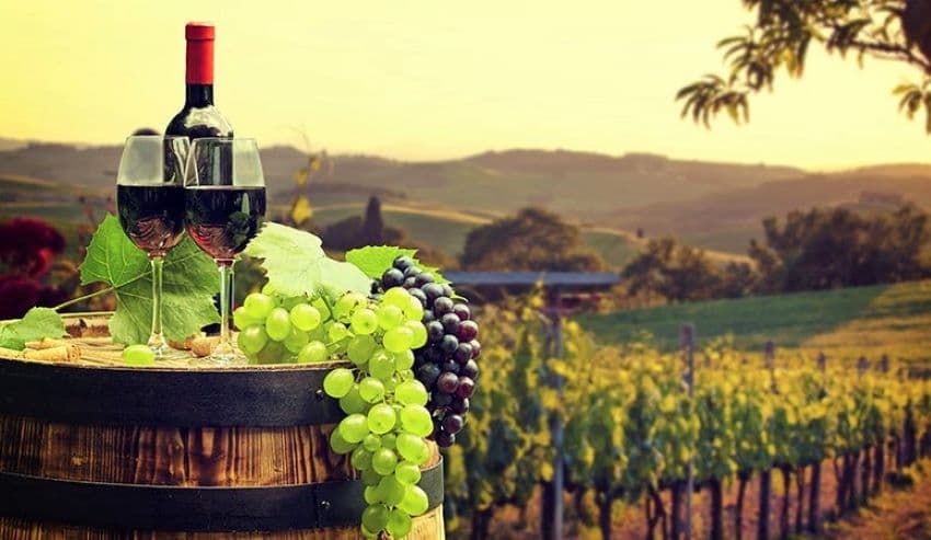 În 2021, vinurile moldovenești au obținut peste 1000 de medalii