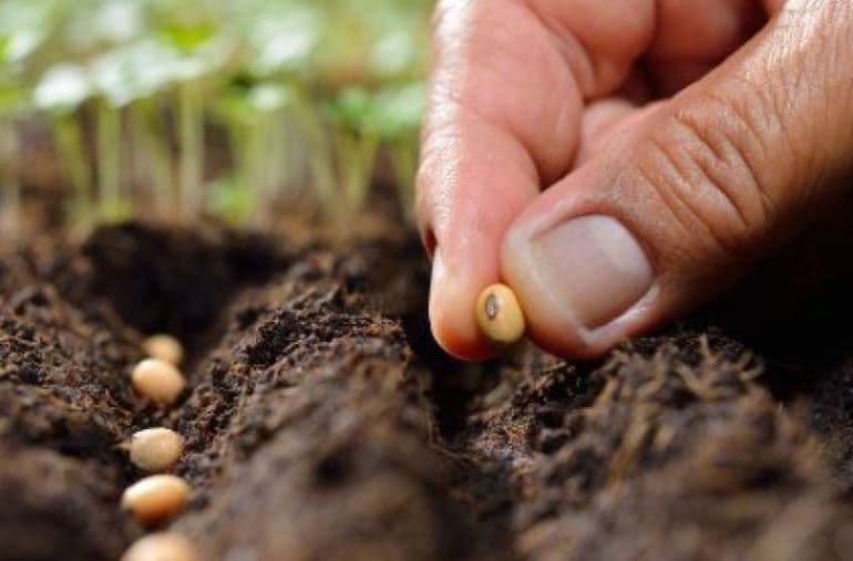 Sfaturi practice pentru noul sezon agricol