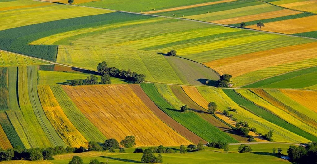 Terenurile agricole, protejate prin lege: Pierderile, calculate corect