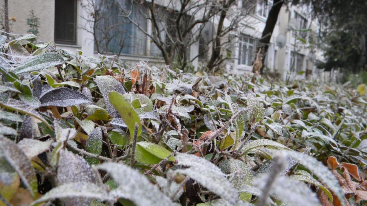 Temperaturile au coborât până la -9 grade Celsius în Franța