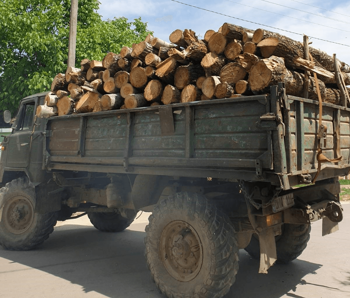 La furat de lemne cu căruța și camionul