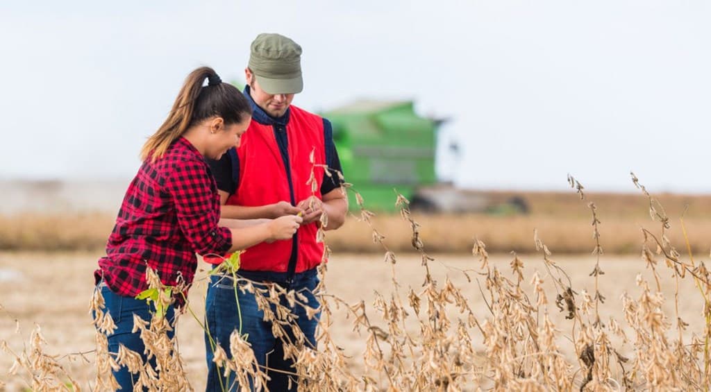 Ajutor pentru cei care vor să investească în agricultură