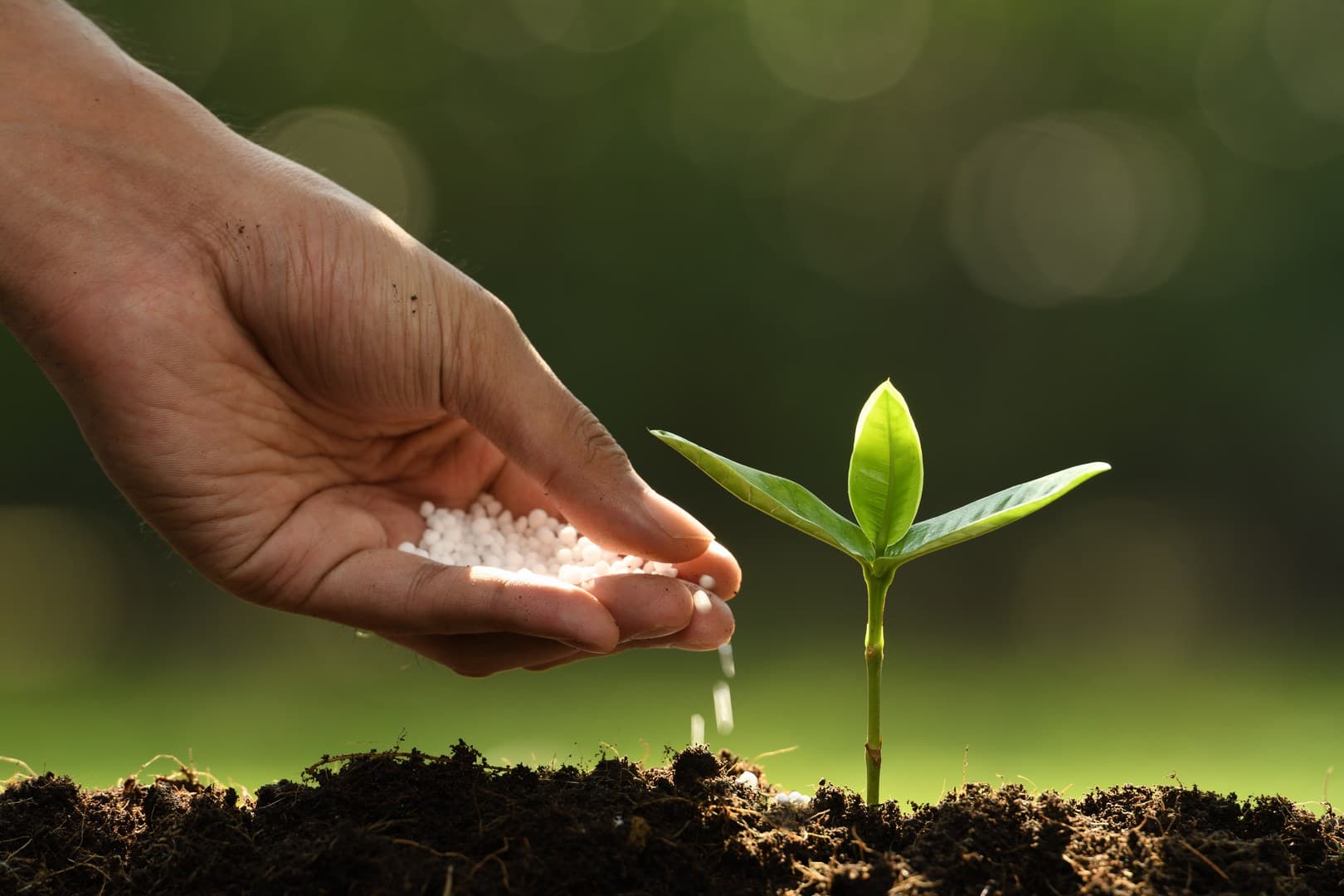 Fertilizanții ar putea să se scumpească cu 70%