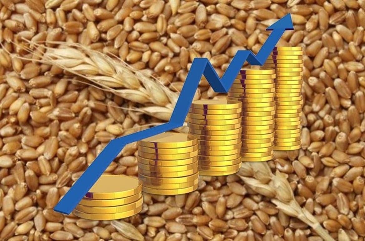 Prețurile mondiale ale grâului ar putea crește la 250-270 USD pe tonă din cauza condițiilor meteorologice nefavorabile în Rusia