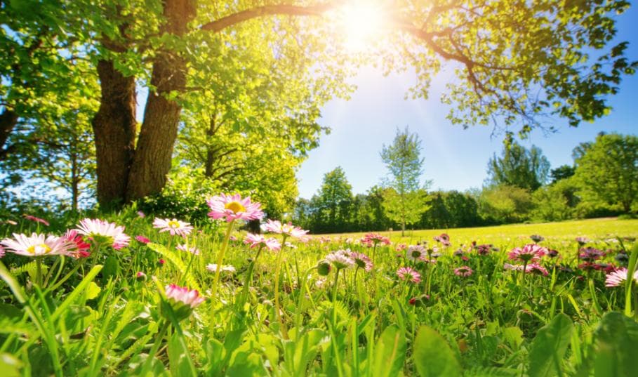 Vremea se încălzește, prognozează meteorologii