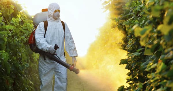 Marea Britanie va interzice pesticidele care distrug albinele, dar cu excepții controversate