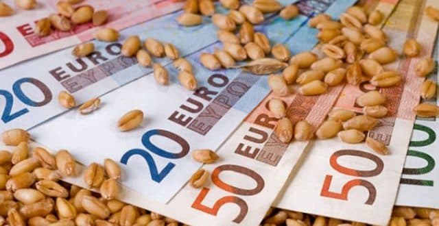 Motivele creșterii și scăderii prețurilor la grâu, în ciuda unei producții record așteptate în 2025