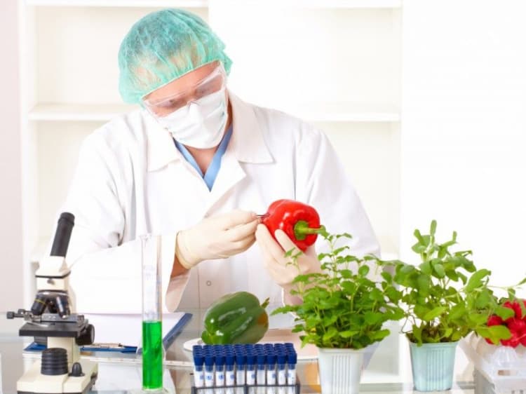 Controlul organismelor modificate genetic va fi îmbunătățit