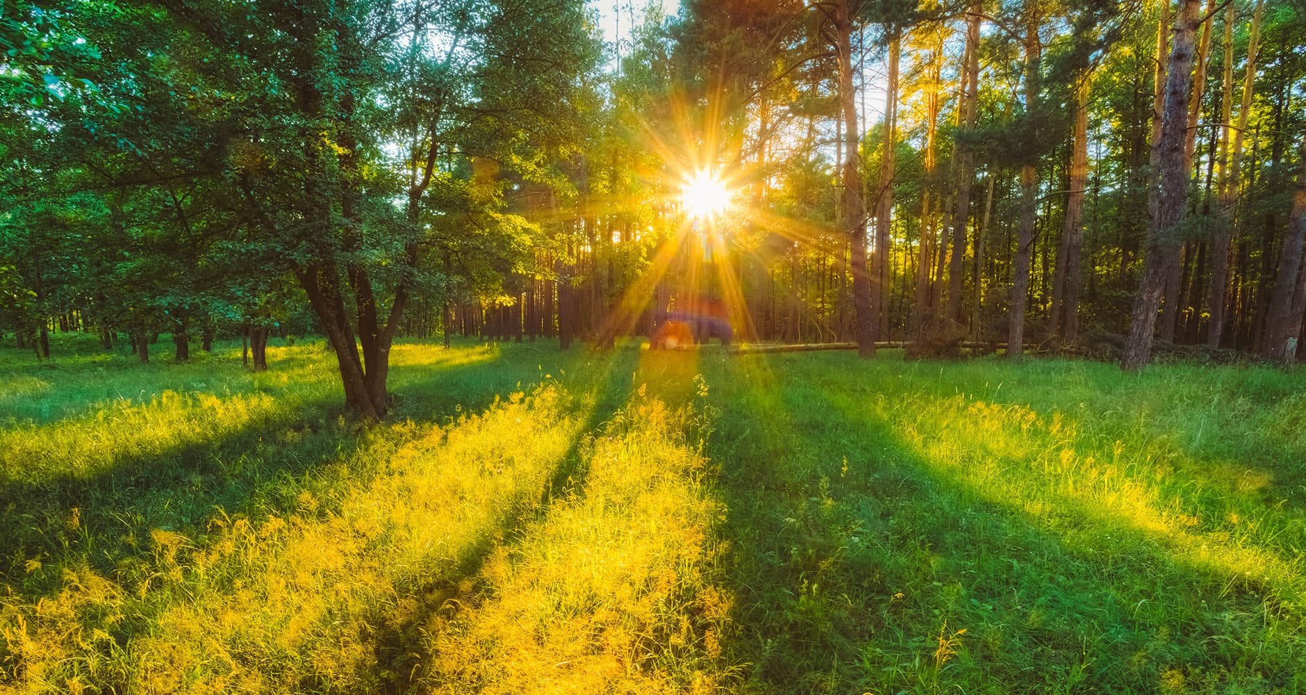 Vreme caniculară în acest week-end, prognozează sinopticienii
