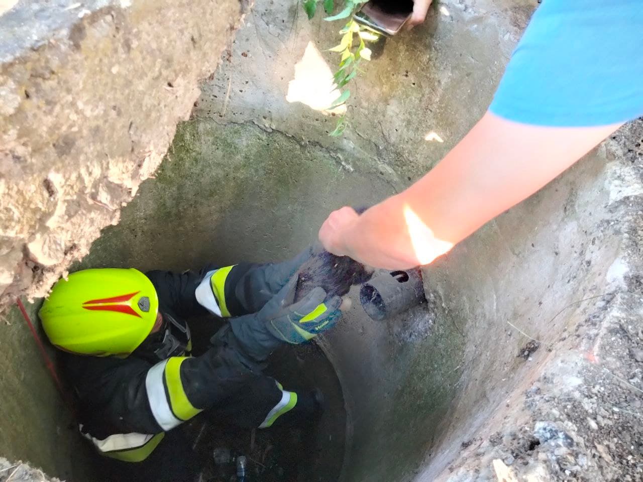 Salvatorii au intervenit pentru a salva un cățel căzut în fântână/ FOTO