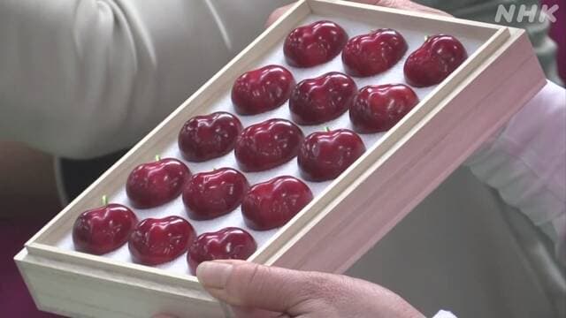 În Japonia, o cireașă de soiul Aomori Heartbeat s-a vândut 296 de dolari