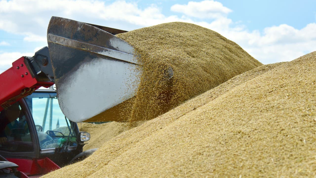 De la începutul războiului, Ucraina a exportat 10 mln tone de cereale