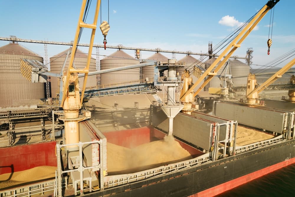 China lansează un plan de zece ani pentru stimularea consumului și producției de cereale