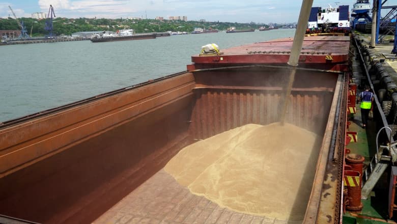 Recolte record și provocări climatice: Cum transformă 2025 piața cerealelor din bazinul Mării Negre