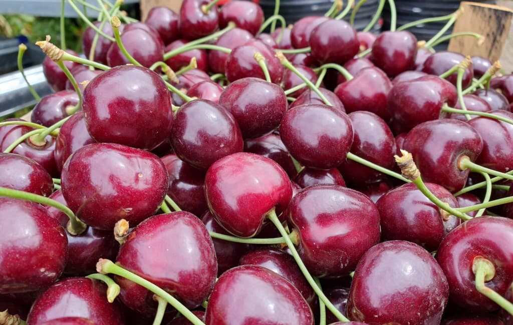 Moldova, în TOP-ul exportatorilor de fructe