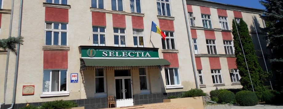 Știința face minuni: nouă tone de grâu la hectar