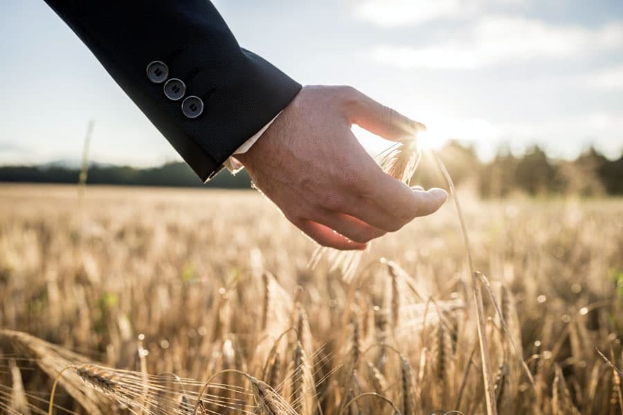 Agricultorii ar putea fi obligați să-și facă polițe de asigurare