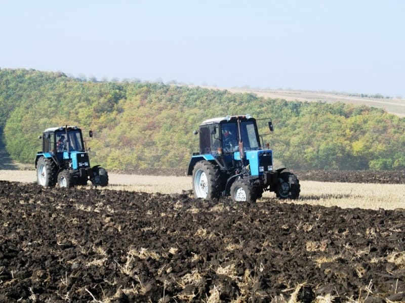 Noul Cod funciar prevede măsuri pentru terenurile agricole neîngrijite și îmburuienate