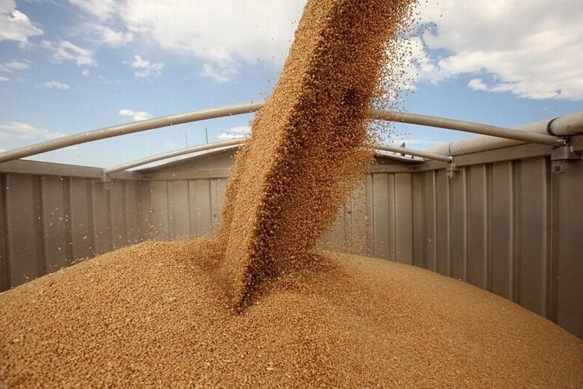 Producția ucraineană de cereale ar putea scădea