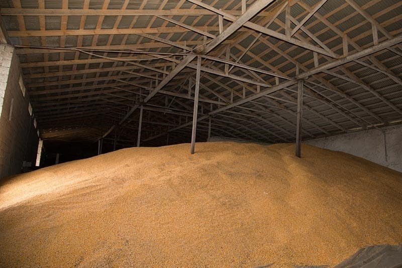 Depozitele de păstrare a cerealelor și a nutrețurilor vor fi verificate