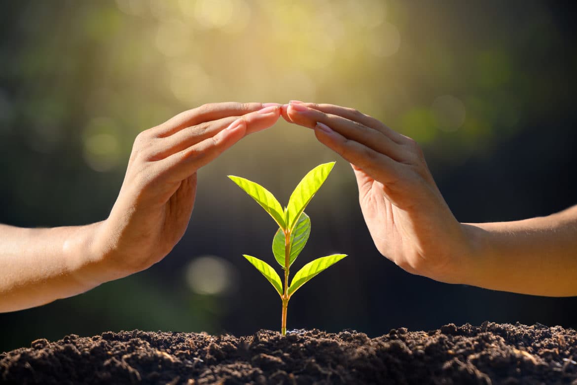 De ce trebuie să investim în agricultura ecologică?