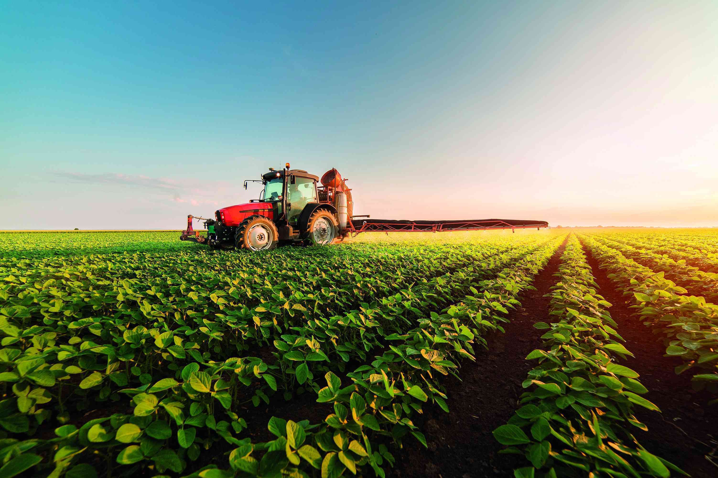 Prioritățile Ministerului Agriculturii pentru acest an