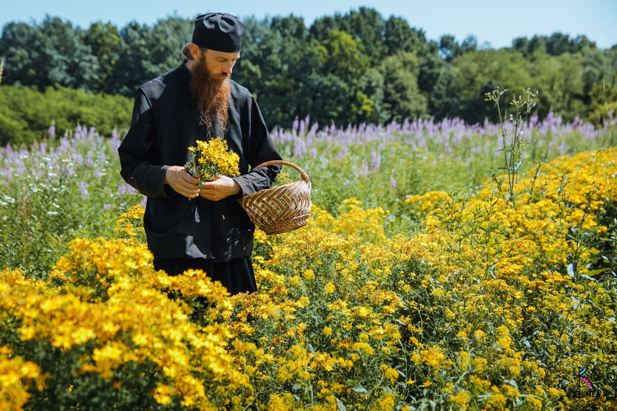 Zăbriceni – singura mănăstire certificată eco