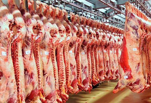 Producția de carne de porc a scăzut semnificativ în România