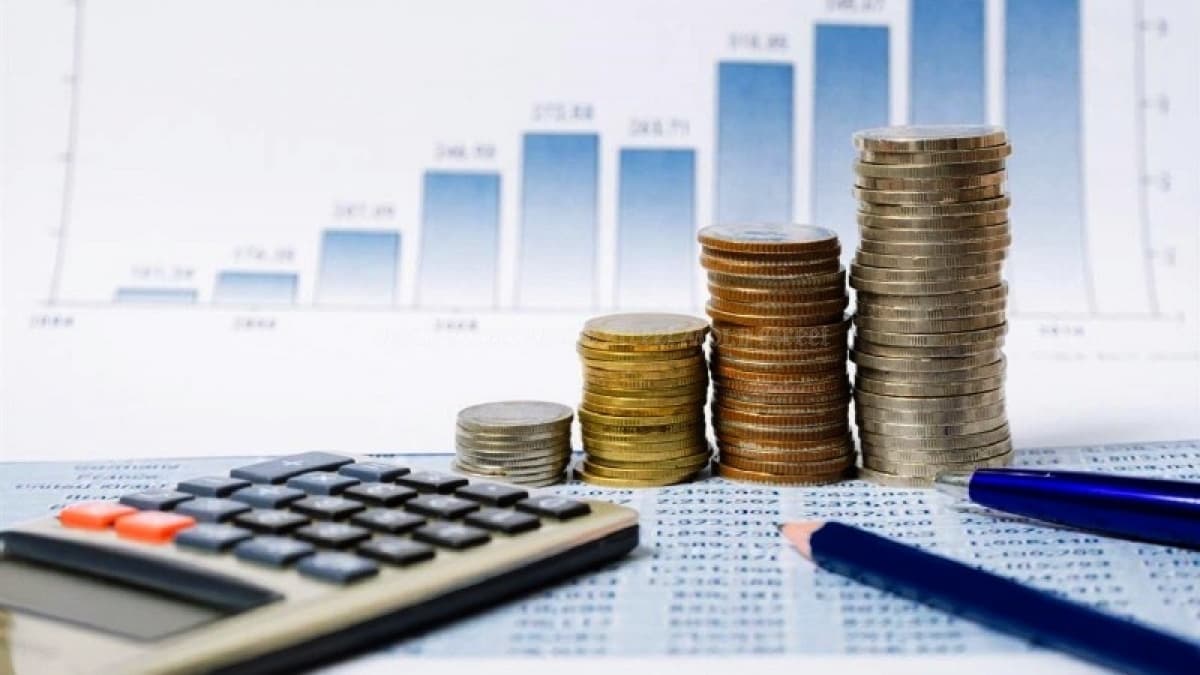 Ministerul Economiei prognozează o încetinire economică – doar 2,5 la sută creștere pentru 2024