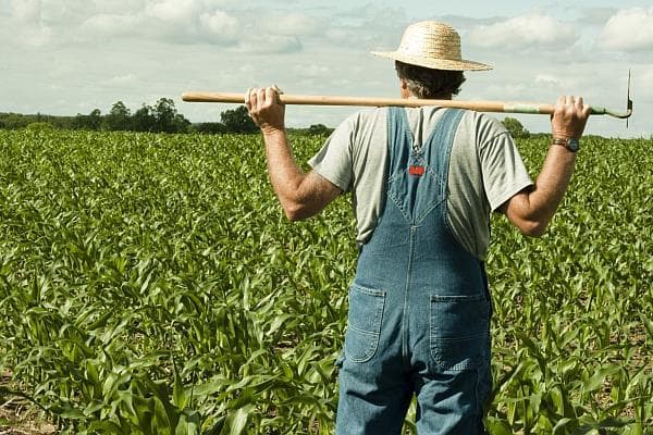 IURIE RIJA: “Cadrul legislativ existent pentru asigurarea riscurilor în sectorul agricol se confruntă cu probleme majore.”