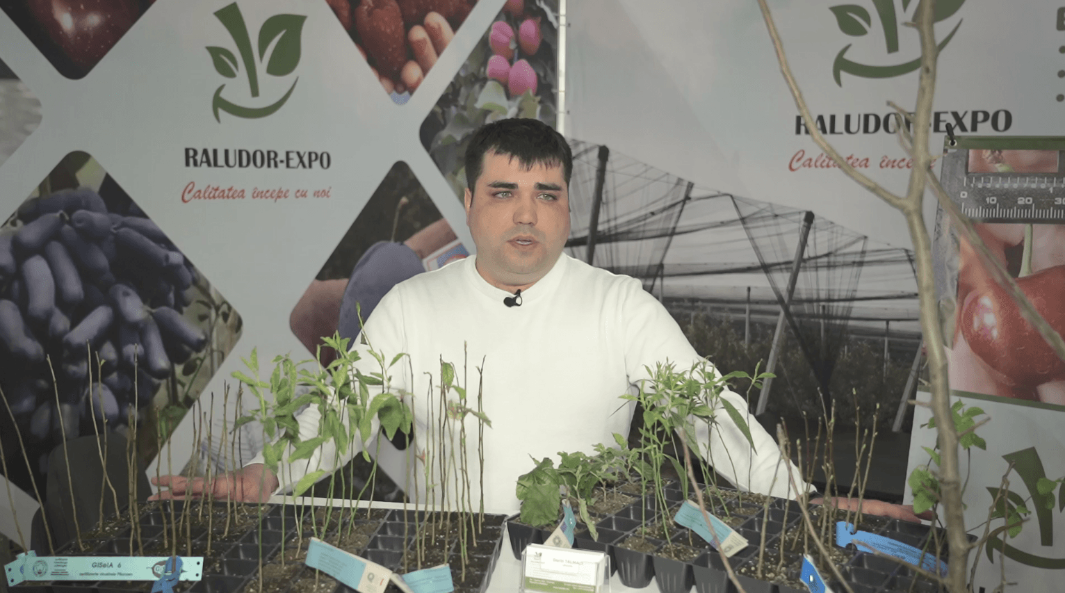 RALUDOR EXPO – proiectarea viilor, livezilor și plantațiilor de pomușoare!