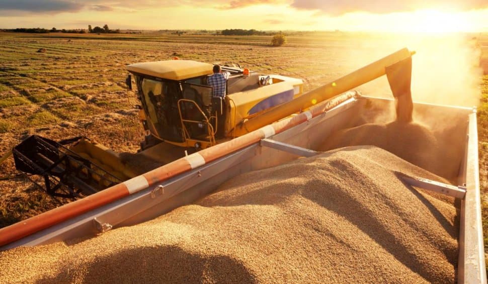 România domină piața europeană a cerealelor, fiind în topul exportatorilor de grâu și orz