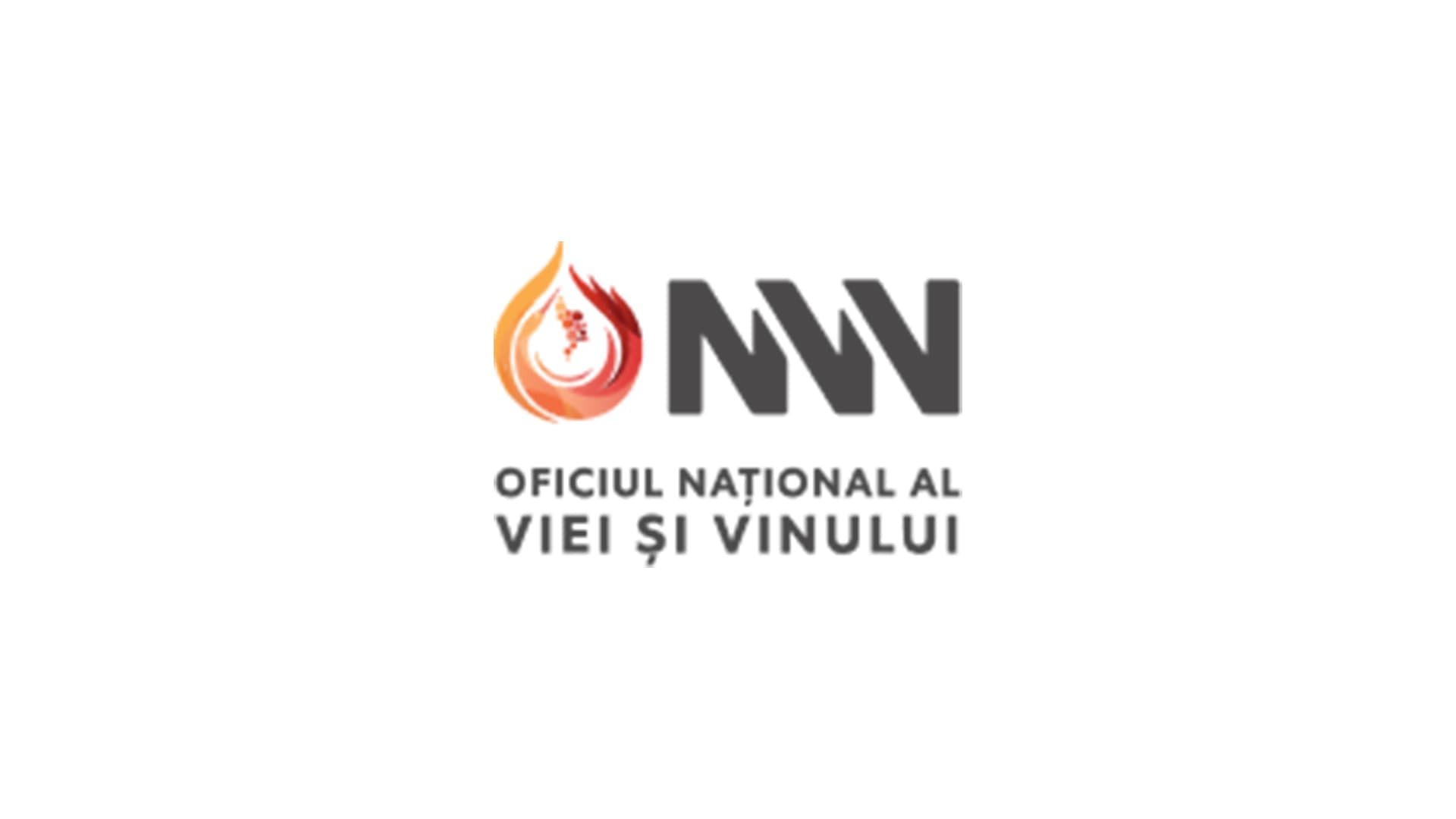 A fost redus numărul de membri ai Consiliului de coordonare a ONVV