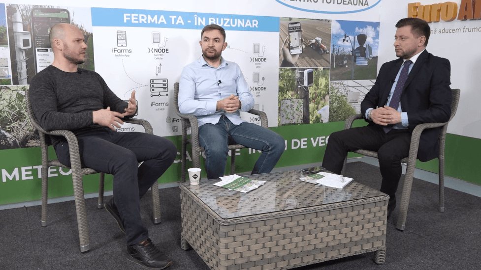 Digitalizarea – pe înțelesul tuturor