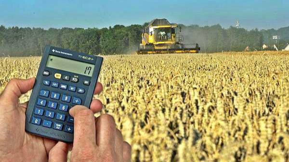 Vești bune pentru agricultori! Impozitul funciar pentru anul 2024 va fi rambursat din contul TVA-ului acumulat
