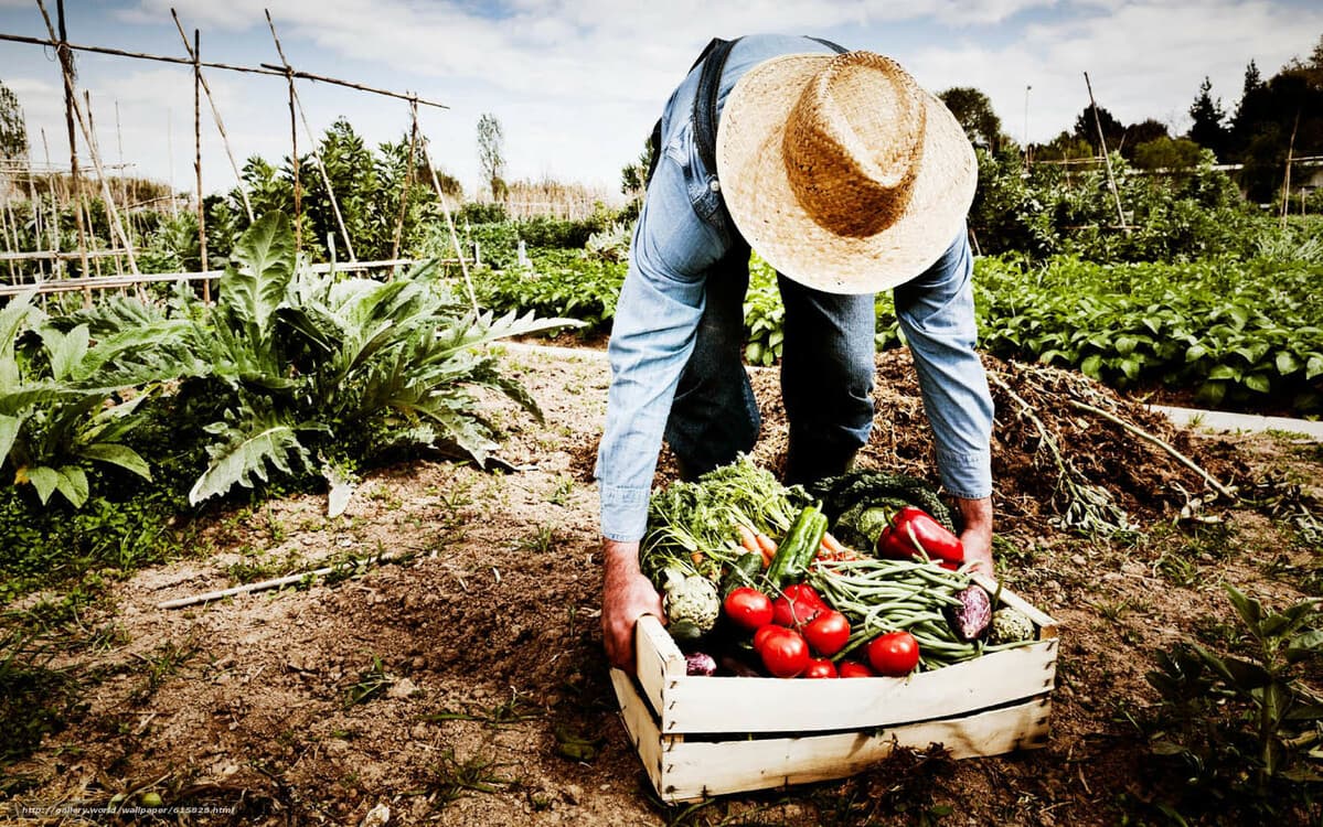 În perioada 30 ianuarie – 3 februarie 2024 în localitatea Izmir va avea loc expoziția AGROEXPO IZMIR 2024