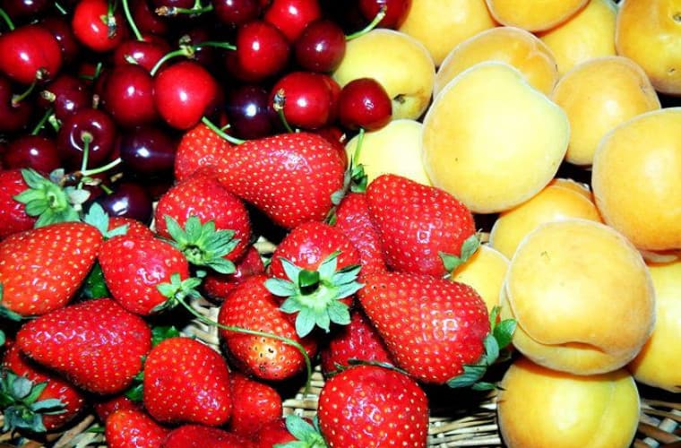 Top 10 fructe din RM cu potenţial de creştere a exporturilor în UE