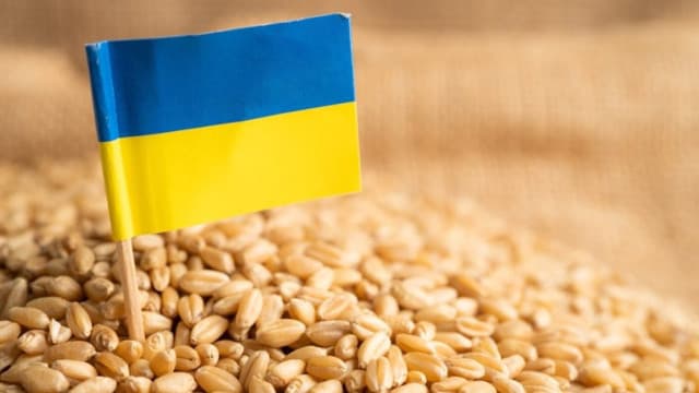 Exporturile de grâu din Ucraina încep să crească, în ciuda stocurilor scăzute și a incertitudinilor legate de recoltă