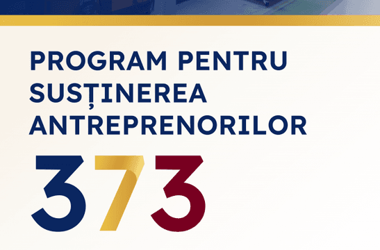 Programul Guvernamental 373: Un sprijin esențial pentru antreprenori