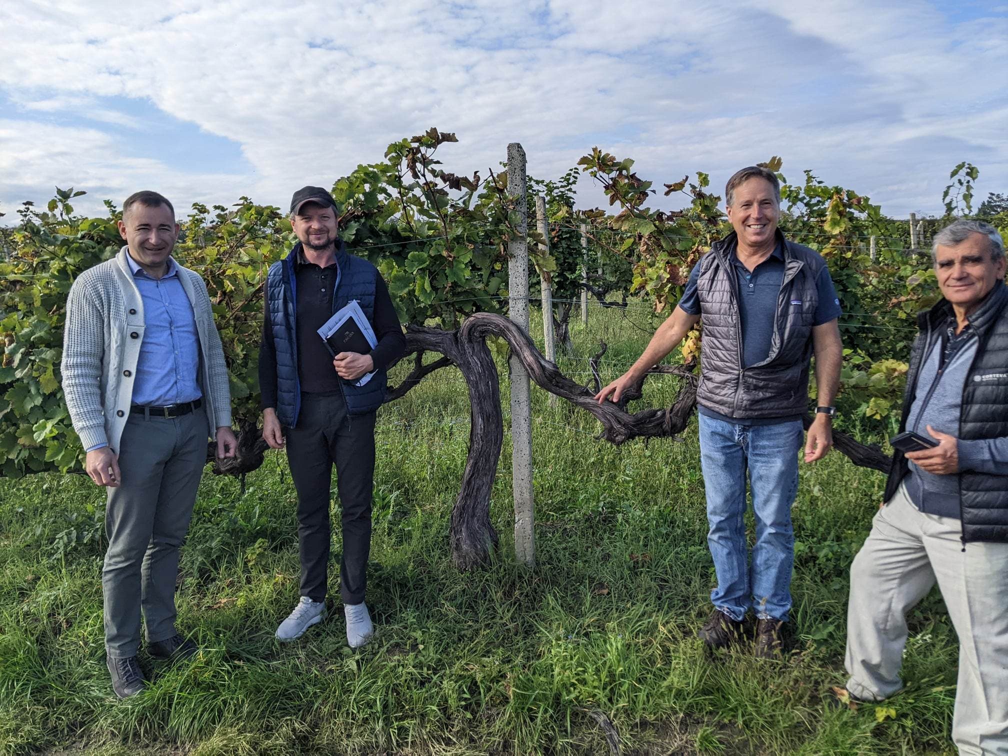 Consultanță gratuită în asimilarea marketingului agricol modern