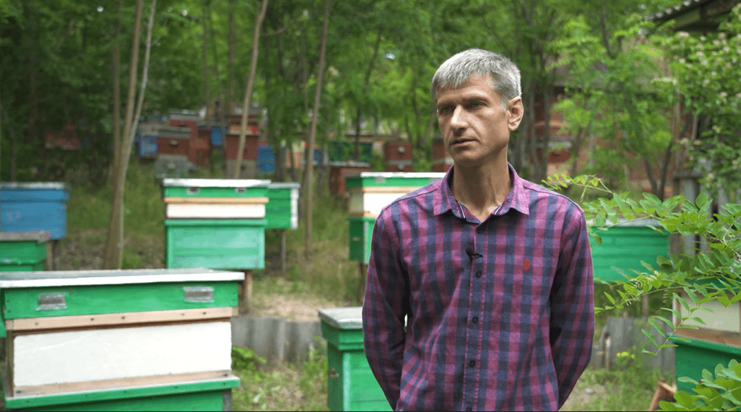 Apicultură de la zero în Moldova. Istoria de succes a unui apicultor din Ucraina
