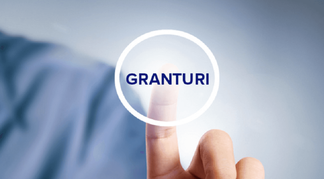 Granturi de 14 milioane de lei pentru dezvoltarea afacerilor locale