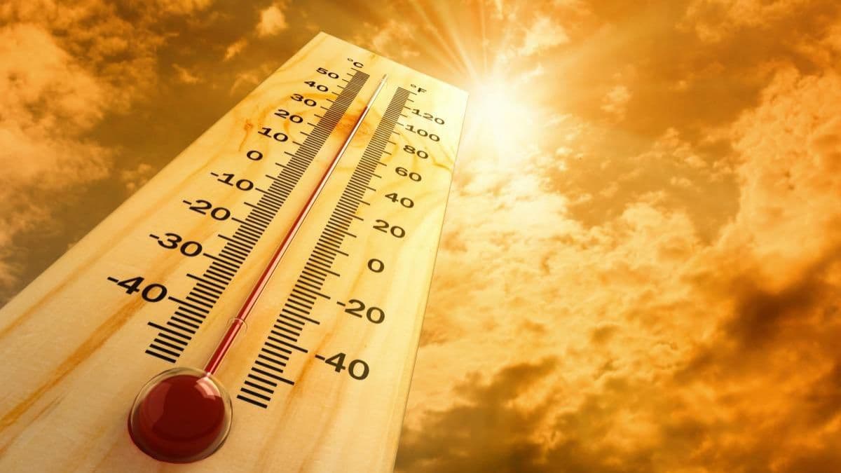 Codul galben de caniculă se menține până pe 7 august
