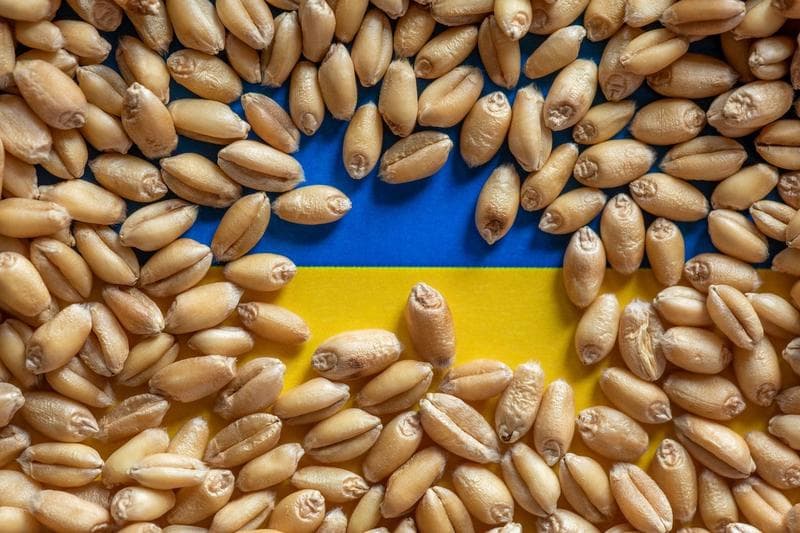 Rusia reconectată la SWIFT în schimbul prelungirii acordului de cereale?