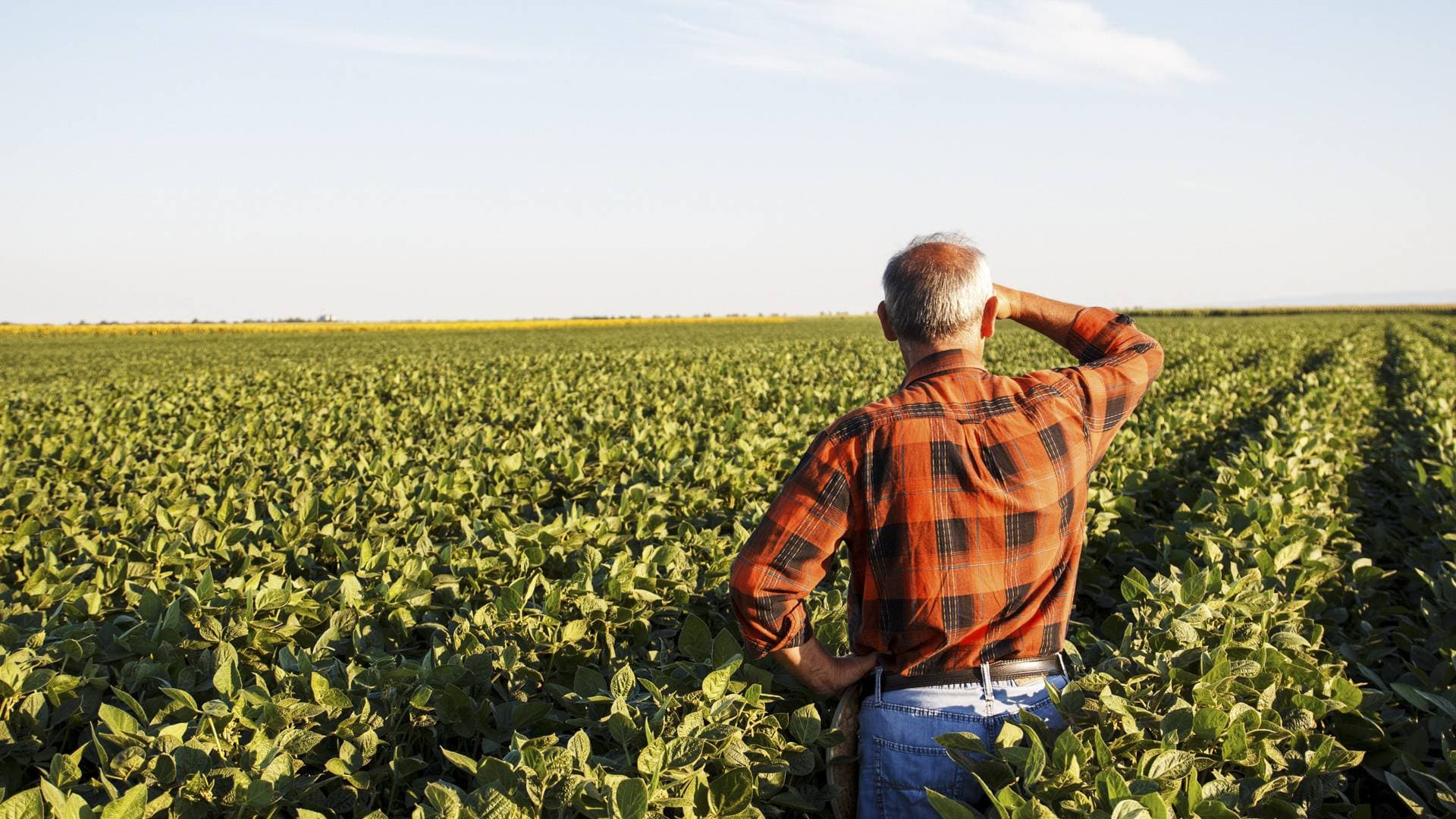 Noiembrie – Luna Agricultorului: Celebrăm munca celor care asigură hrana pe mese