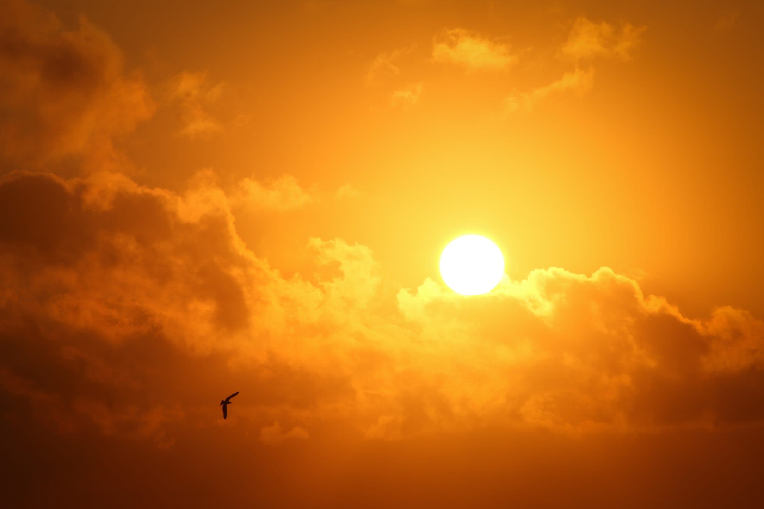 Temperaturile se mențin ridicate, cu maxime de 31 grade Celsius în sud și centrul țării