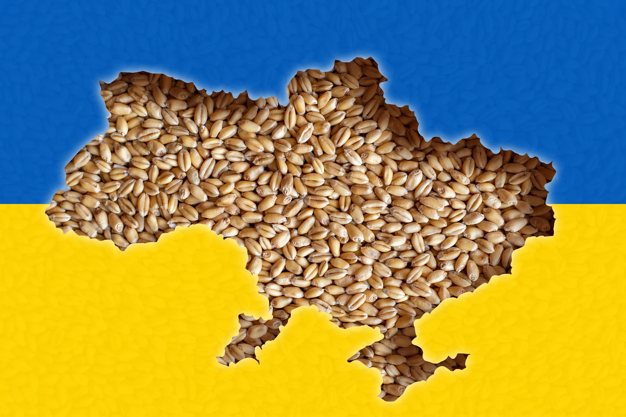 Importurile de cereale din Ucraina au crescut, iar fermierii cer măsuri urgente