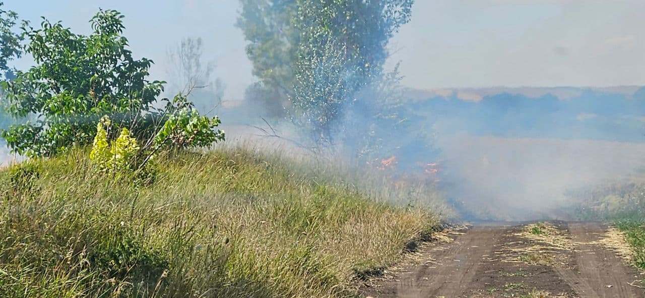 Peste 2600 hectare de teren au fost compromise de incendii de vegetație, de la începutul anului