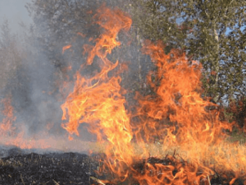 Incendiu de vegetație în Turcia. Peste o mie de pompieri, mobilizați