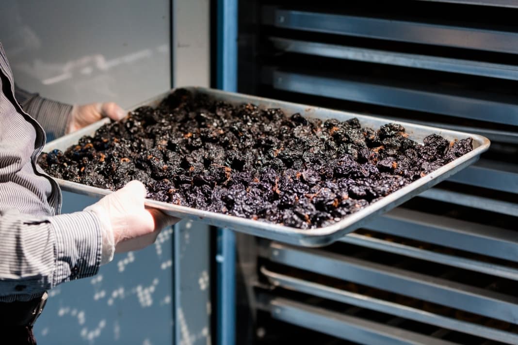 Un agricultor din Chircăiești şi-a dezvoltat o afacere de fructe bio / FOTO